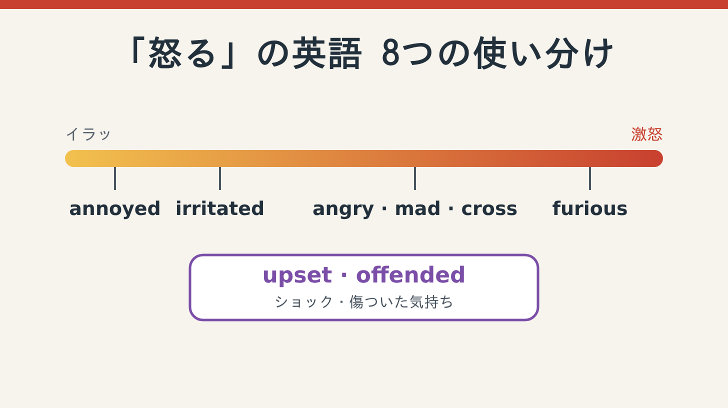 「怒る」の英語8つの使い分け